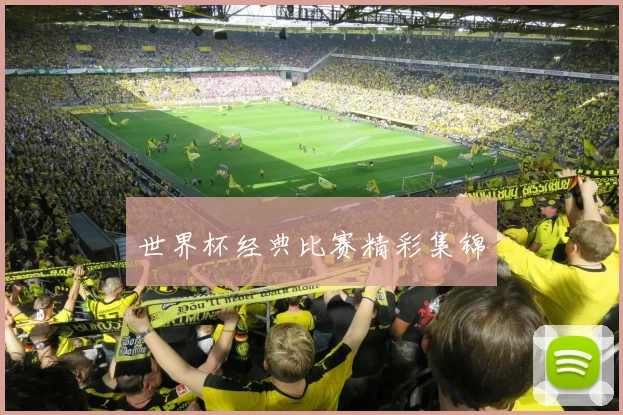 世界杯经典比赛精彩集锦