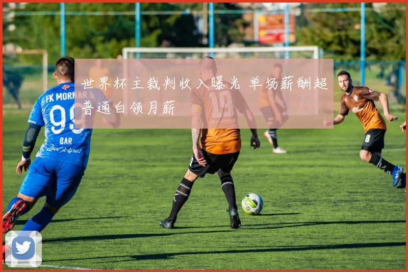 世界杯主裁判收入曝光 单场薪酬超普通白领月薪