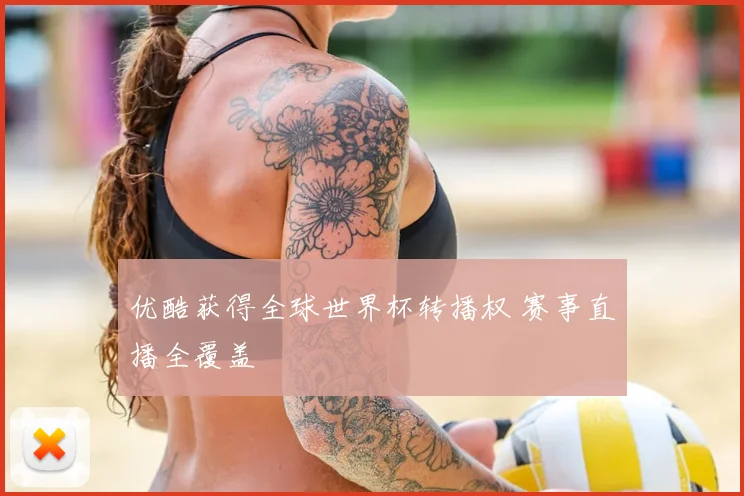 优酷获得全球世界杯转播权 赛事直播全覆盖