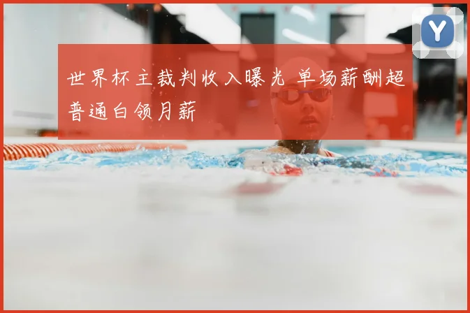 世界杯主裁判收入曝光 单场薪酬超普通白领月薪